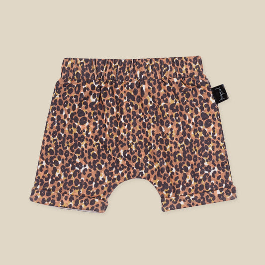 Feline Shorties | Kapow Kids