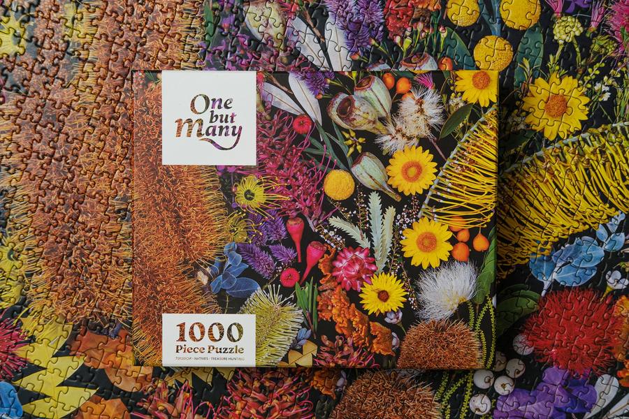 1000 piece puzzle - Treasure Hunting